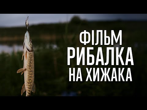 Видео: Открылся По хищнику на реке Збруч.- 1 сетка