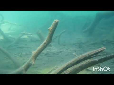 Видео: Озеро Альп на суше и под водой.