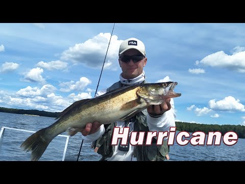 Видео: На Hurricane КЛЮЁТ КАК ИЗ ПУЛЕМЁТА то окунь то щука то судак. ЦВЕТ и РАЗМЕР ВАЖЕН!