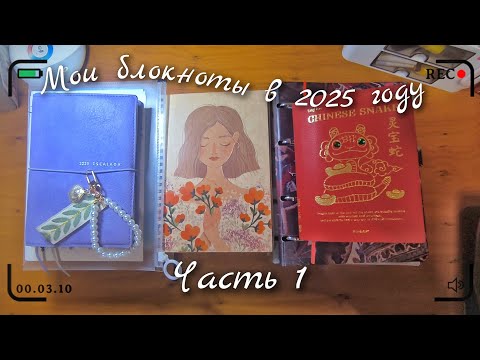 Видео: Знакомство || Какие блокноты веду в 2025 году || Часть 1