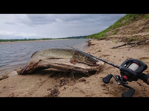 Видео: Щука в корягах на воблеры . Рыбалка на реке Вага Архангельская область. Pike fish.
