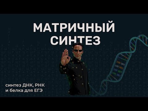 Видео: Матричный синтез | синтез ДНК, РНК и белков для ЕГЭ.