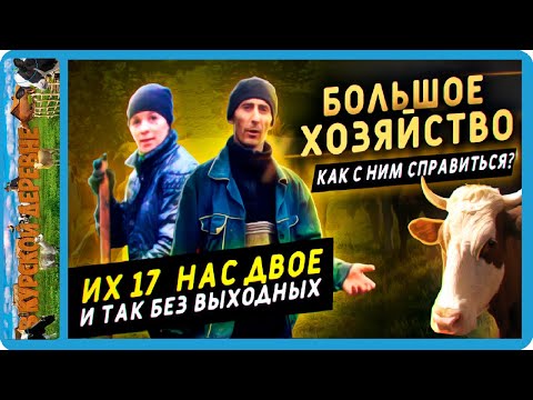 Видео: как справится с большим хозяйством 7 коров 5 телят бык овцы и коза