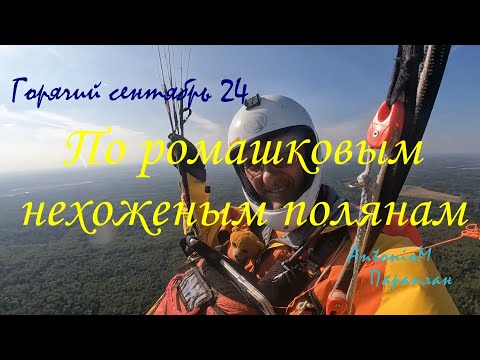 Видео: По ромашковым полянам Новогорбово 24 Параплан