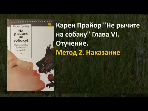 Видео: 244 Карен Прайор "Не рычите на собаку. Глава 4. Отучение. Метод 2.   Наказание"