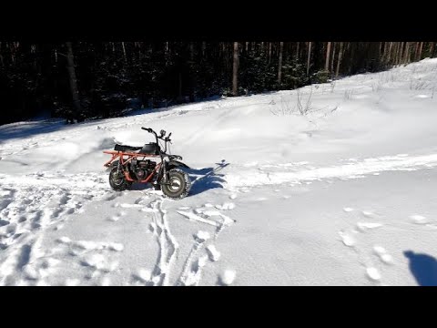 Видео: Скаут Сафари -3 Покатушки по лесным, снежным тропам весной, после хороших заморозков.