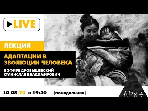 Видео: Онлайн-лекция Станислава Дробышевского "Адаптации в эволюции человека"