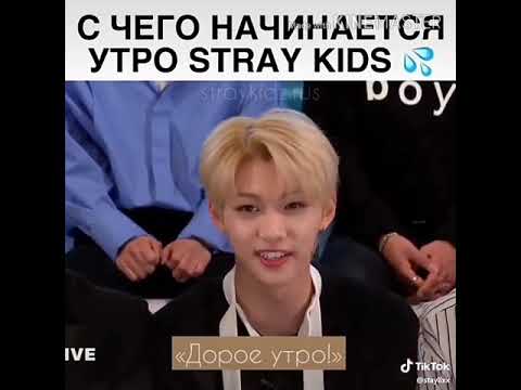 Видео: Смешные моменты с Stray kids #2