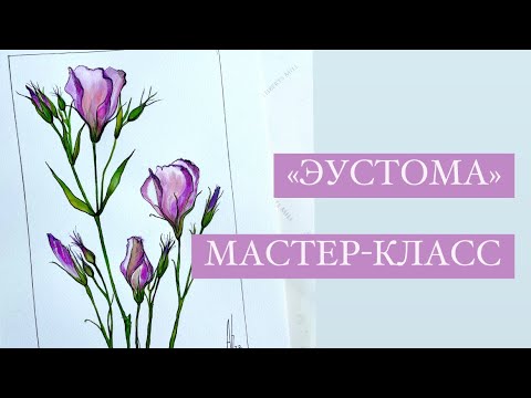 Видео: Как нарисовать эустому акварелью, ботаническая иллюстрация «Эустома»