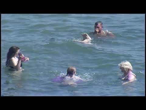 Видео: Судак, разгар сезона.Шоу: Басков, Куртукова, Кока.