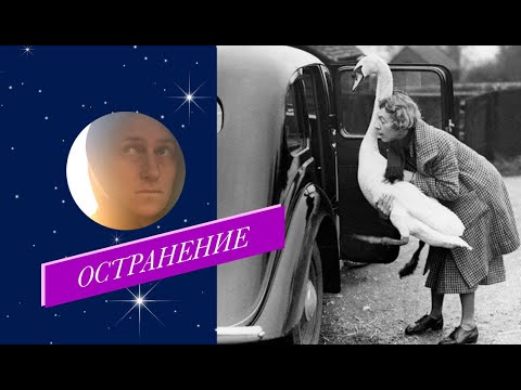 Видео: Остранение