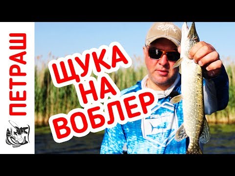 Видео: Рыбалка на ЩУКУ. Ловля НА ВОБЛЕРЫ жарким летом!