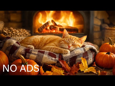 Видео: Успокаивающая музыка для кошек, снимающая стресс 😸 Расслабляющая музыка для кошек, с #музыкадлякошек