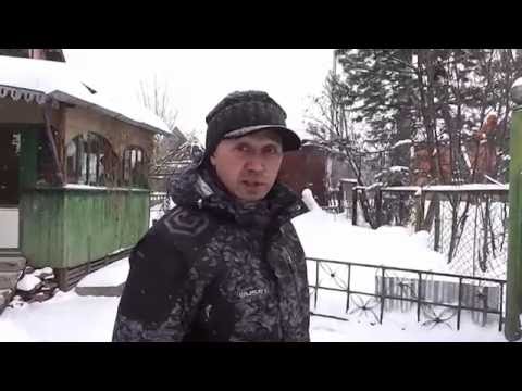 Видео: я и мой хвост. команда "ко мне" часть 1