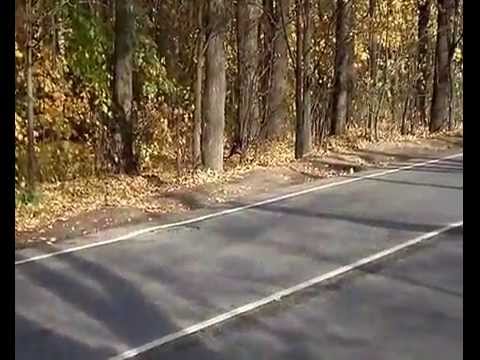 Видео: Машина ЗиС