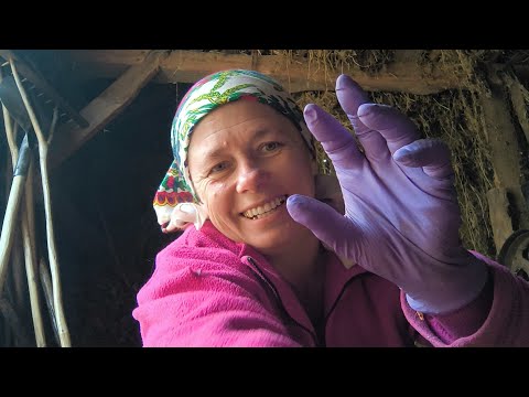 Видео: чи треба кітним козам обрізати ратиці