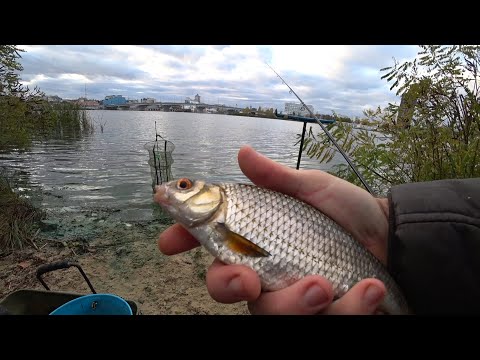 Видео: ПЛІТКУ ЛОВЛЯТЬ ВСІ ❗ Рибалка на ФІДЕР о. 🏝  Труханів.  Зустріч з легендою -  Dutch 160