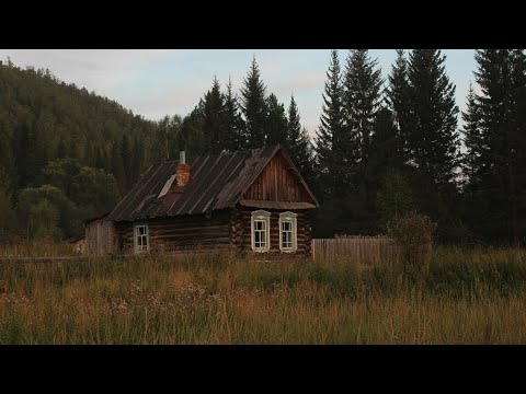 Видео: Жизнь Семьи Отшельников. Рыбалка на Ручье. Тайга Кормит. Боровики и Черника.