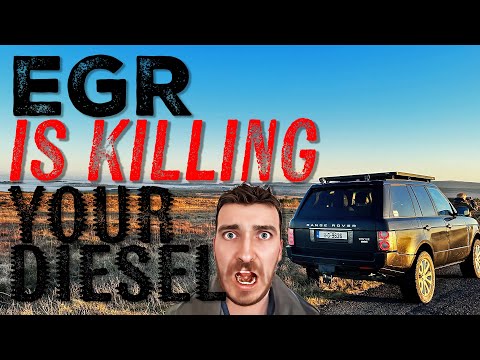 Видео: ВОТ ПОЧЕМУ EGR так вреден для вашего Range Rover. [Скрип ремня TDV8 4.4, чистка и обслуживание вп...