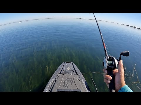 Видео: 84 рыбных дня в легендарном месте