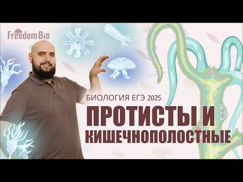 Видео: ПРОТИСТЫ И КИШЕЧНОПОЛОСТНЫЕ для ЕГЭ ПО БИОЛОГИИ |Зоология| ЕГЭ БИОЛОГИЯ 2025|Freedom|