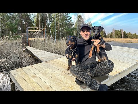 Видео: Сделал мостик- пирс на озере. Ставлю березовый сок