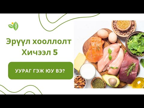 Видео: УУРАГ | Макро тэжээл 3 | Эрүүл хооллолтын хичээл 5