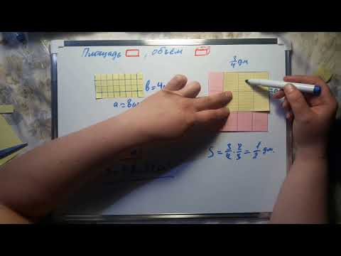 Видео: Площадь прямоугольника. Объем прямоугольного параллелепипеда. (Смешанные дроби!) 1 часть