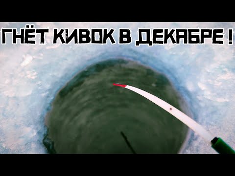 Видео: ТРУДОВОЙ ПОИСК УДАЛСЯ! Клюёт на мормышку СРАЗУ! СЛОЖНАЯ рыбалка в декабре!