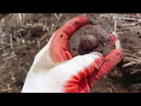 Видео: В хорошую погоду не время сидеть дома.