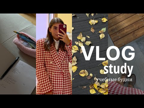 Видео: STUDY VLOG | первые дни учебы | мотивация к учебе | тренировки | пары | talking | осенний влог |