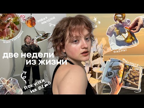 Видео: обычная жизнь | день рождения, мем-вечеринка, покупки и пикник