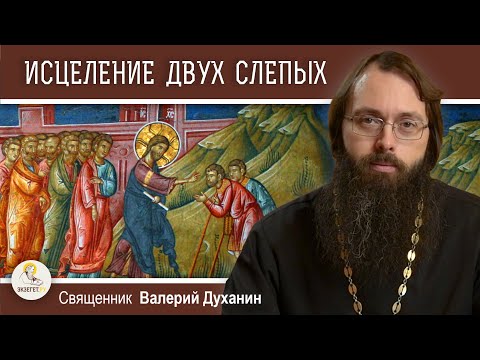 Видео: Исцеление двух слепых и немого бесноватого (Мф. 9: 27-35).   Священник Валерий Духанин