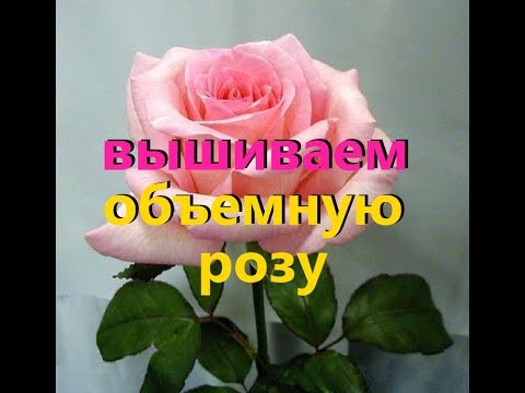 Видео: ВЫШИВАЕМ ОБЪЕМНУЮ РОЗУ ПО ПРИНТУ
