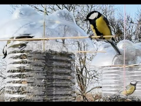 Видео: Кормушка для синиц - с вертикальным влетом-вылетом