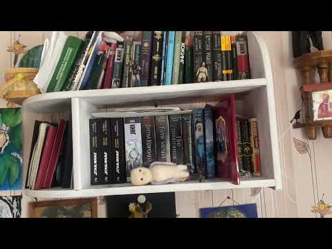 Видео: АСМР моя книжная полка 🤪