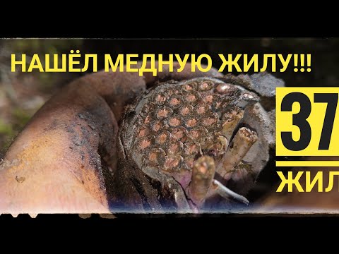 Видео: НАШЁЛ МЕДНУЮ МЕГА ЖИЛУ!!!!!!