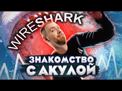 Видео: Как пользоваться Wireshark? Анализ трафика и расшифровка пакетов