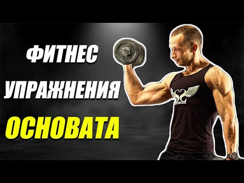Видео: ФИТНЕС УПРАЖНЕНИЯ ОСНОВАТА #1 | НАВИКЪТ - Фактор на успеха