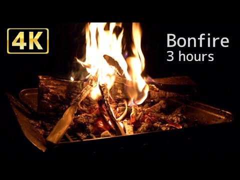 Видео: 3 часа расслабления при звуке 4K-костра и звуке насекомых (бггм)