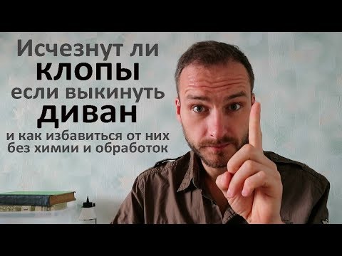 Видео: Исчезнут ли клопы, если выкинуть диван