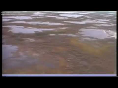 Видео: Когалым начало. 1991год.