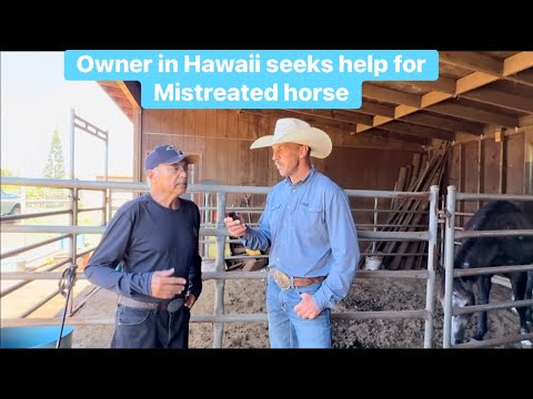 Видео: Испуганная Лошадь подверглась насилию с использованием веревок и теперь Реактивна!