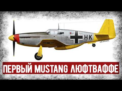 Видео: Как Немецкий Лётчик Отзывался О Трофейном Мустанге?