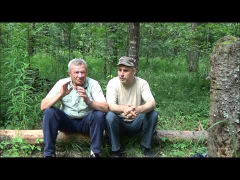 Видео: МИХАЛЫЧ ОТВЕТЫ НА ВОПРОСЫ 2