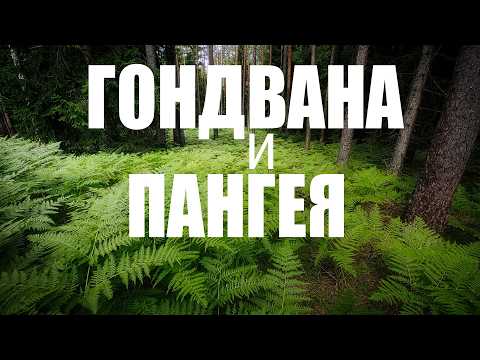 Видео: Гондвана и Пангея | Тайны древних суперконтинентов, климата и вымираний