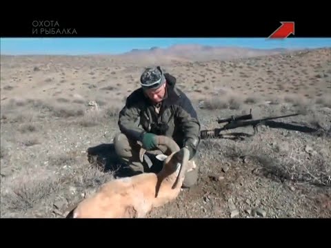 Видео: Эдуард Бендерский. Горная охота. Иран