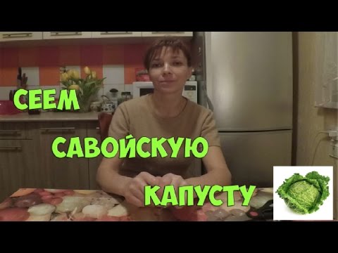 Видео: Сеем савойскую капусту. Посадка капусты.