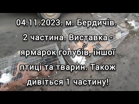 Видео: 04.11.2023. м. Бердичів. 2 частина. Виставка - ярмарок голубів, іншої птиці та тварин. Див 1 частину