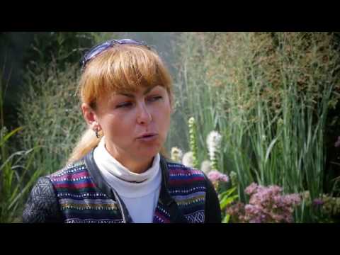 Видео: Сад "Артефакт"-2, "Сады и люди" - 2016